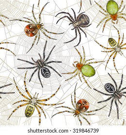 Halloween seamless pattern with spiders on web. Vector background