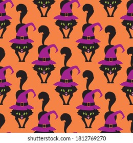 Halloween seamless patterns with black cats. Colorful vector background