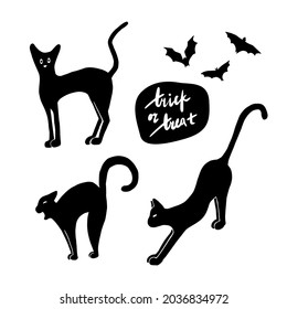 Halloween set of black cats with a flying bats and trick or treat lettering sticker for print card design, invitation, banner. Funny hand drawing ink style vector illustration.