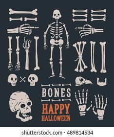 Halloween. Set Of Cartoon Skulls And Bones. Vector Illustration.