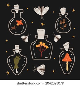 Halloween set of magic bottles with magic potion. moth.Autumn mood.