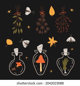 Halloween set of magic bottles with magic potion. moth, Dry autumn bouquets.Autumn mood.