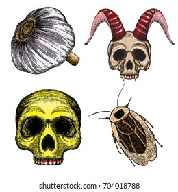 Halloween set and occult magic attributes collection for witchcraft, for cards, decorative elements. Vector.