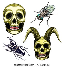 Halloween set and occult magic attributes collection for witchcraft, for cards, decorative elements. Vector.