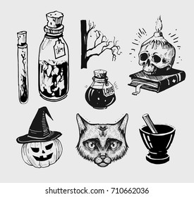 Halloween set. Witch things: skull,pumpkin, potions, cat, broom. Hand drawn illustration converted to vector.