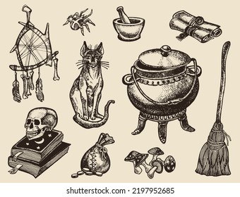 Halloween set of witch's cauldron, dream catcher, scrolls, skull with magic books, cat, mushrooms, broomstick illustrations.