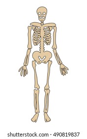 halloween skeleton vector symbol icon design. Beautiful illustration isolated on white background