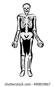 halloween skeleton vector symbol icon design. Beautiful illustration isolated on white background