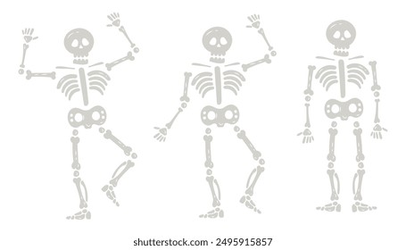 Halloween skeletons in various poses. Creepy Halloween skeleton characters isolated set of vector illustrations. Skeleton mascots hand drawn style