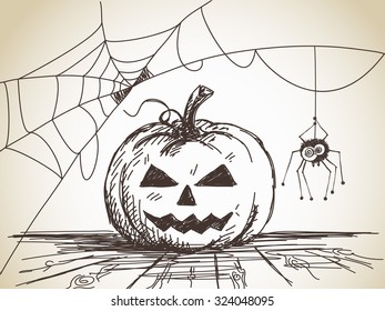 Halloween Sketch of Pumpkin and Spider on web, Hand drawn illustration