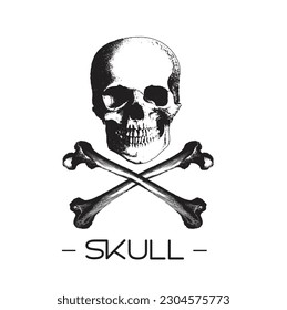 Halloween Skull Isolated Black and White- Halloween Vector Design 