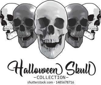 Halloween skull vector collection for perfect illustration 
