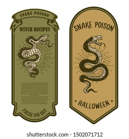 Halloween snake poison. Bottle label template. Design element for poster, card, banner, sign. Vector illustration