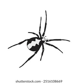 Dia das Bruxas Aranha 2. Decorações de festas de Halloween, decorações de casa assombradas. Elementos de design preto mão desenhada spooky Halloween Doodle. Decorações assombradas. Ilustração de vetor.