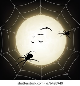 Halloween spider autumn background