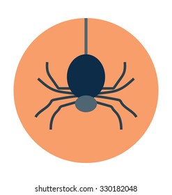 
Halloween Spider Colored Vector Icon
