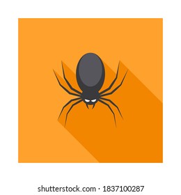Halloween spider icon with glowing eyes, Halloween holiday. Isolated icon. Flat style vector illustration.