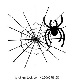 Halloween spider icon. On white background