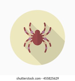 Halloween spider icon, Vector flat long shadow design. Halloween concept.