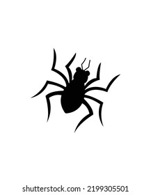 Halloween Spider illustration vector isolated on white background 