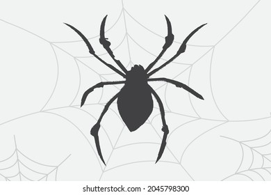 Halloween Spider isolated vector illustration