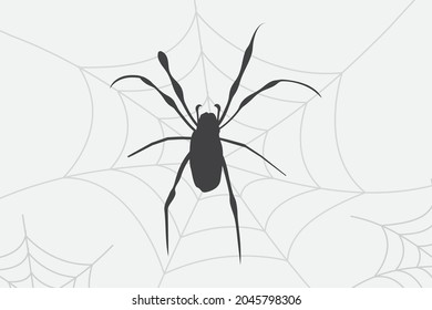 Halloween Spider isolated vector illustration