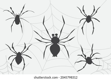 Halloween Spider isolated vector illustration
