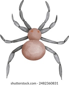 Araña de Halloween . arañas para Halloween 
