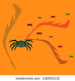 Halloween spider vector illustration