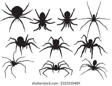 Ilustración del conjunto de vectores de araña de Halloween