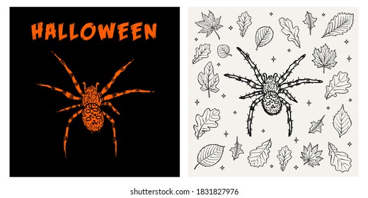 Halloween spider vintage retro poster vector illustration gift card, print