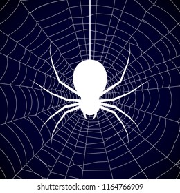 Halloween, spider web background - stock vector