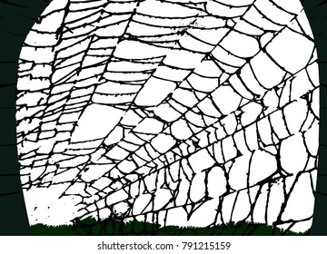 Halloween spider web in silhouette over a white background