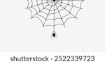 Halloween spider web and spiders isolated on white background. Black spider and torn web. Scary spiderweb of halloween symbol