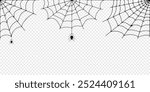 Halloween spider web and spiders isolated on white background. Black spider and torn web. Scary spiderweb of halloween symbol