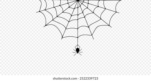 Teia de aranha de Halloween e aranhas isoladas sobre fundo branco. Aranha negra e teia rasgada. Teia de aranha assustadora do símbolo do halloween