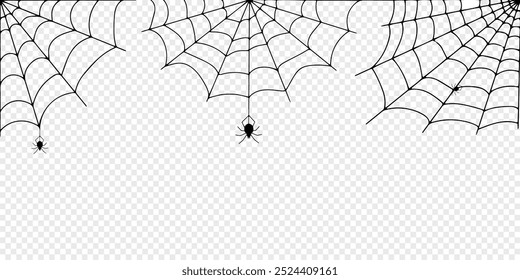 Teia de aranha de Halloween e aranhas isoladas sobre fundo branco. Aranha negra e teia rasgada. Teia de aranha assustadora do símbolo do halloween