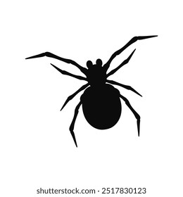 Vector de Web de araña de Halloween. Araña negra sobre fondo blanco. Peligro insecto. Anuncio de terror, cartel de miedo. Maqueta de volante de vacaciones de octubre
