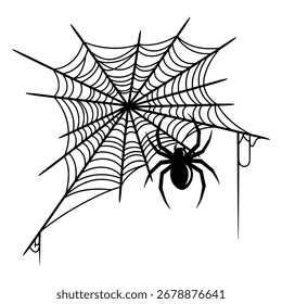 Diseño de Vector de Web de araña de Halloween