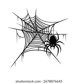 Diseño de Vector de Web de araña de Halloween