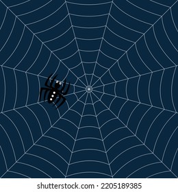 Halloween spider web vector illustration 