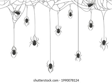 Halloween spiders background. Black spiders on spooky halloween hanging cobweb vector background illustration. Spooky halloween spider web backdrop. Poisonous spider closeup, spiderweb arachnid
