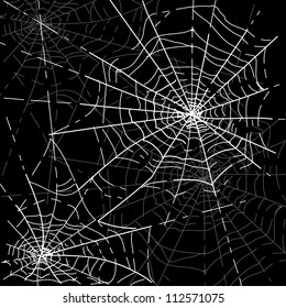 Halloween Spiders web