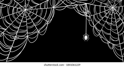 Halloween spiderweb background with spider, copy space. Cobweb backdrop illustration isolated on white. design holiday greeting card and invitation, flyers, posters, banner halloween party holiday