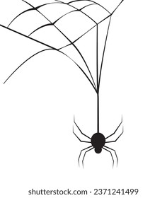 halloween spiderweb spider isolated illustration