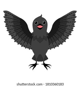 Halloween Spooky Haunted Fantasy Cute Character - Black Raven Crow Cartoon Design Vector Illustration Isolated On White Background