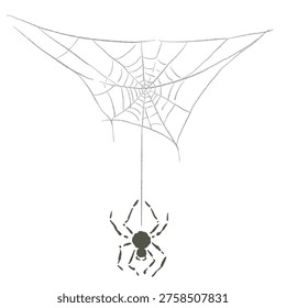 Halloween spooky spider hanging from a large web at the top