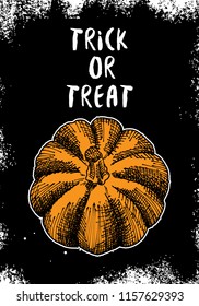 Halloween text banner card or poster in black. Scary spooky hand drawing symbol of Halloween greeting card. Vector.