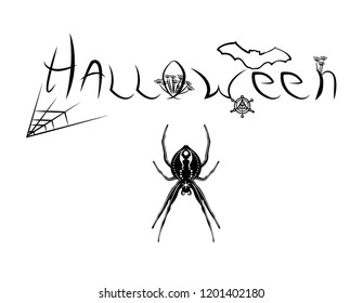 Halloween text banner.Black and white spider artwork.
