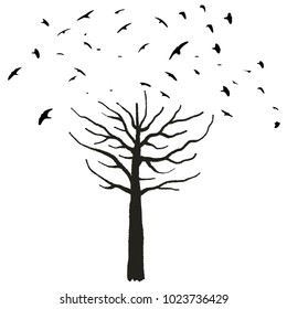 Halloween theme - spooky tree shape with birds taking off.